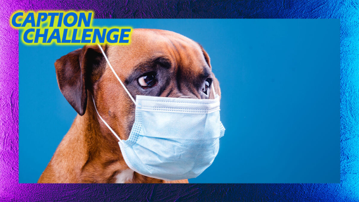 Caption Challenge Mega Bundle image number 2
